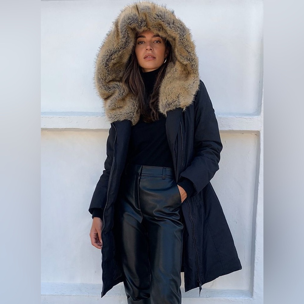 Aritzia Babaton Gilligan St Moritz Parka